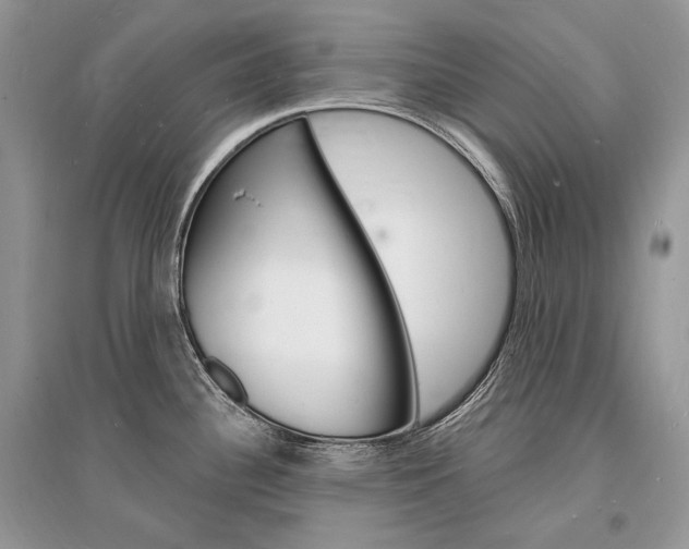 X0000096391340200801241108