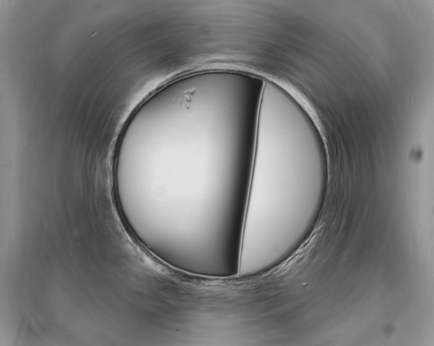 X0000096391341200801241108