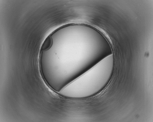 X0000096391343200801241108