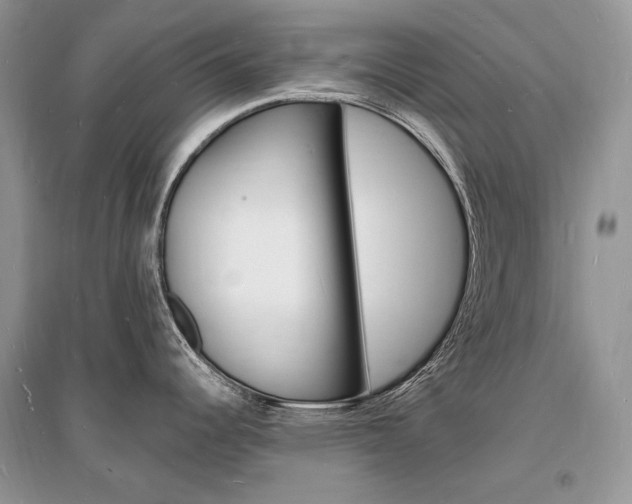 X0000096391344200801241108