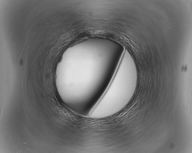 X0000096391345200801241107