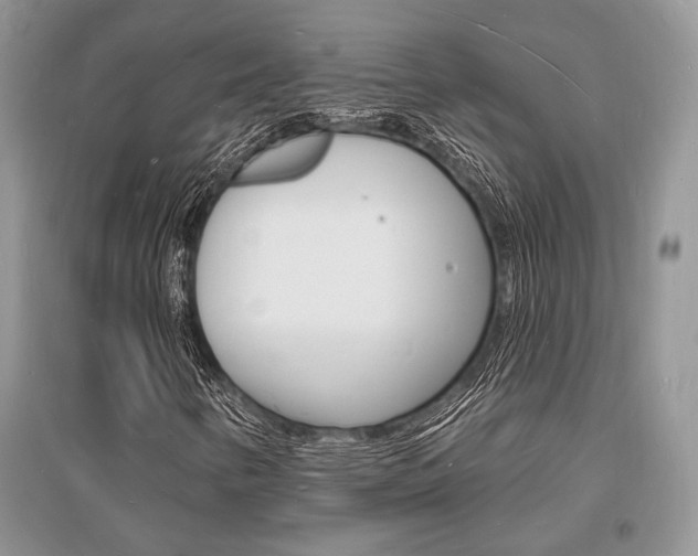 X0000096391346200801241107