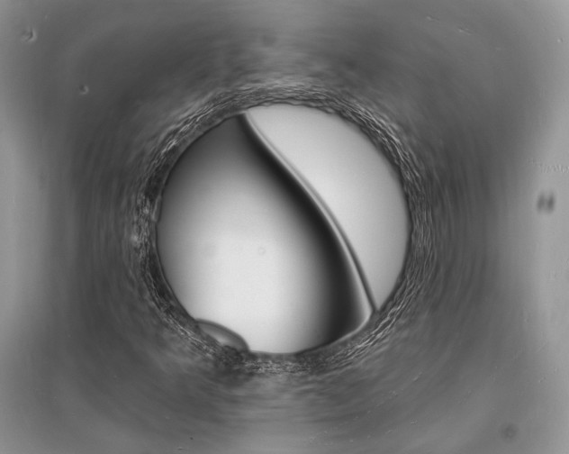 X0000096391349200801241107