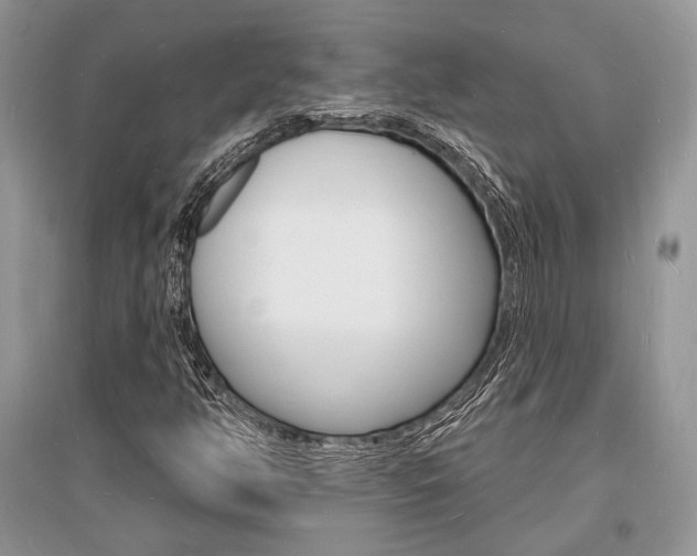 X0000096391350200801241107