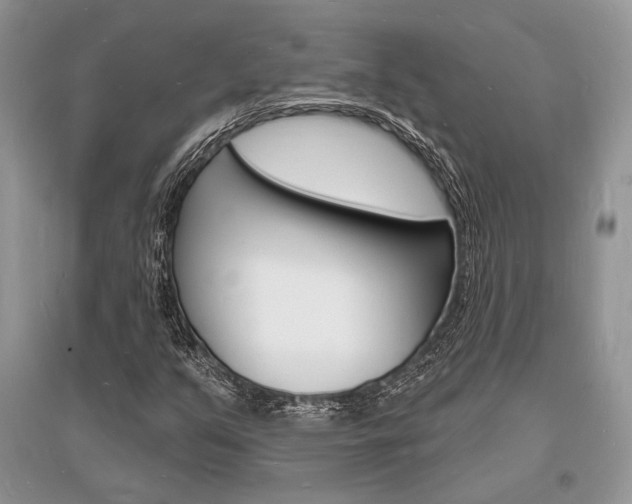 X0000096391351200801241107