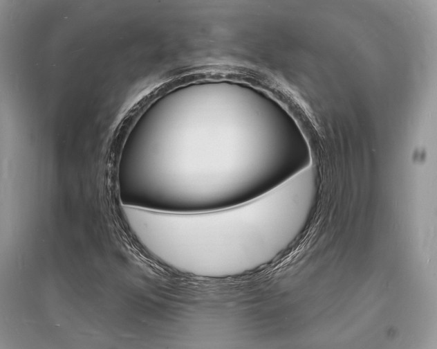 X0000096391352200801241107