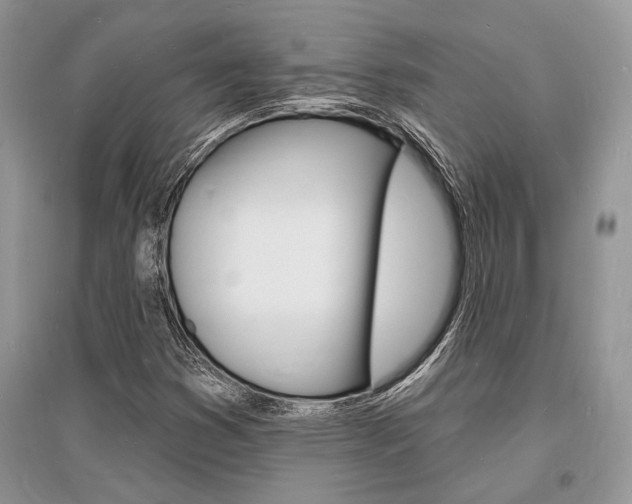 X0000096391353200801241107