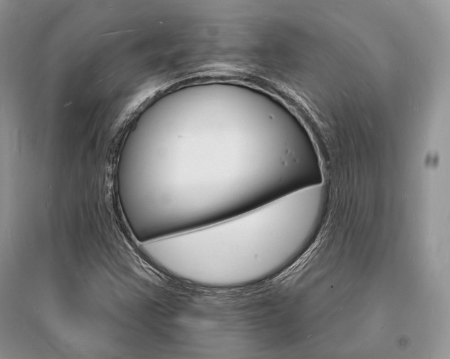 X0000096391355200801241107