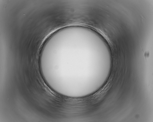 X0000096391356200801241107