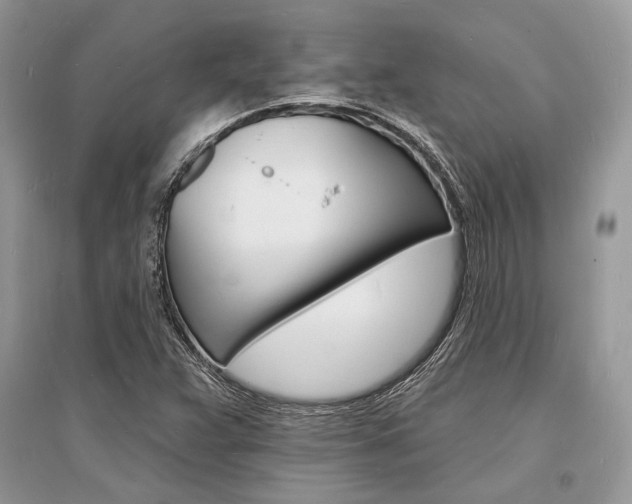 X0000096391359200801241107