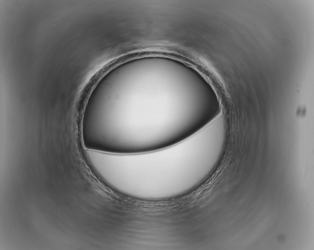 X0000096391360200801241107