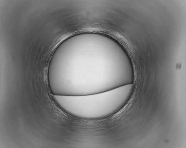X0000096391361200801241107