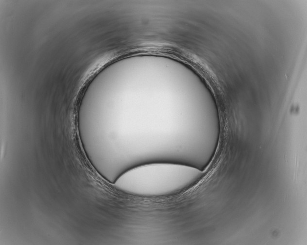 X0000096391362200801241107