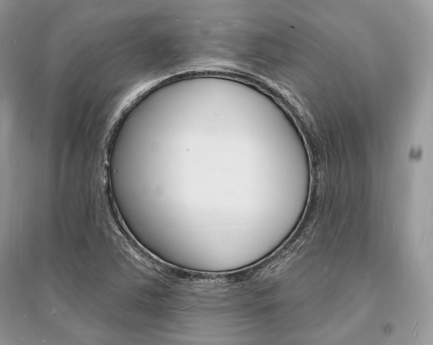 X0000096391363200801241107