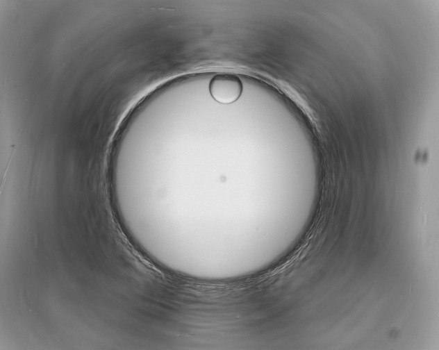 X0000096391364200801241107