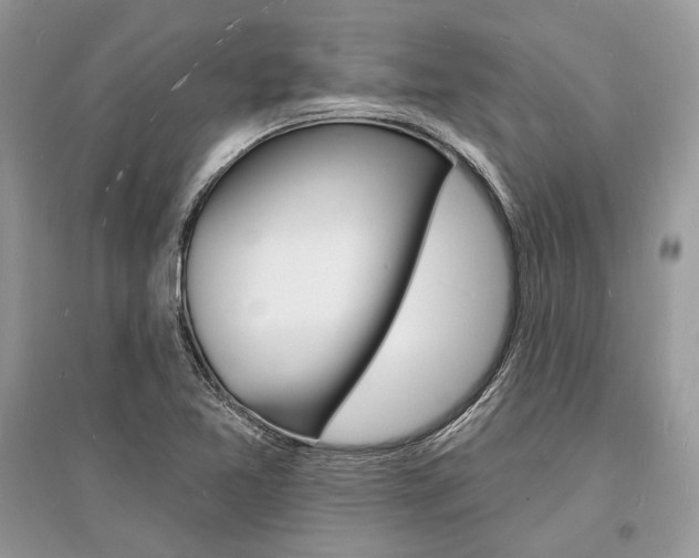 X0000096391365200801241107
