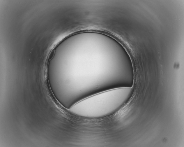 X0000096391367200801241107