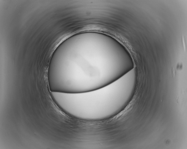 X0000096391369200801241107