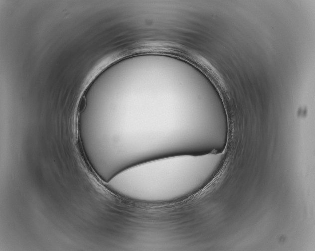 X0000096391370200801241107