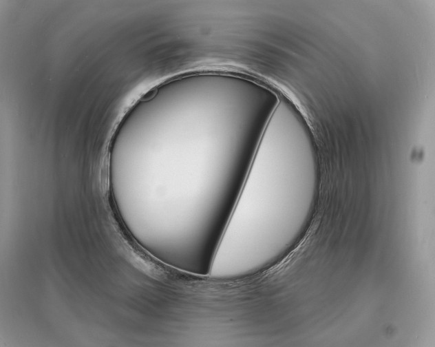 X0000096391371200801241107