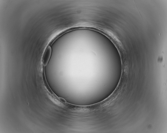 X0000096391372200801241107