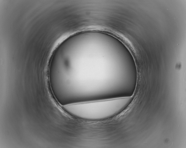 X0000096391373200801241107