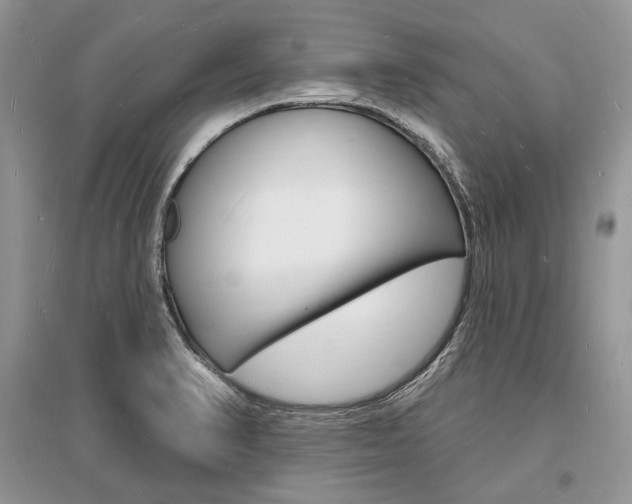 X0000096391374200801241107