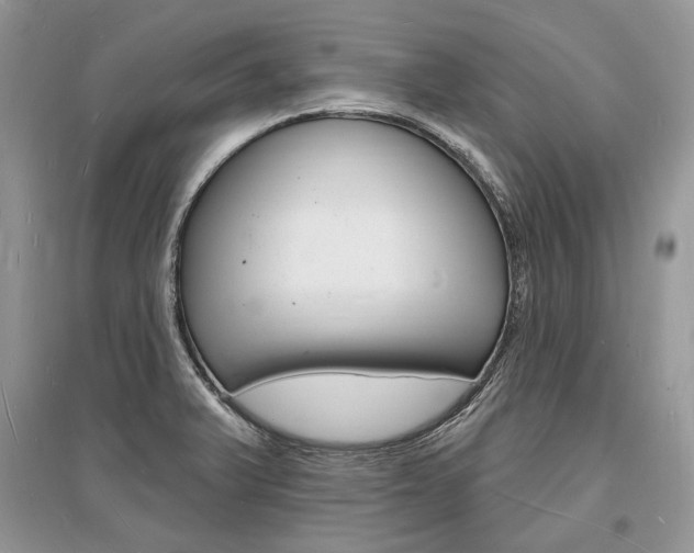 X0000096391375200801241107