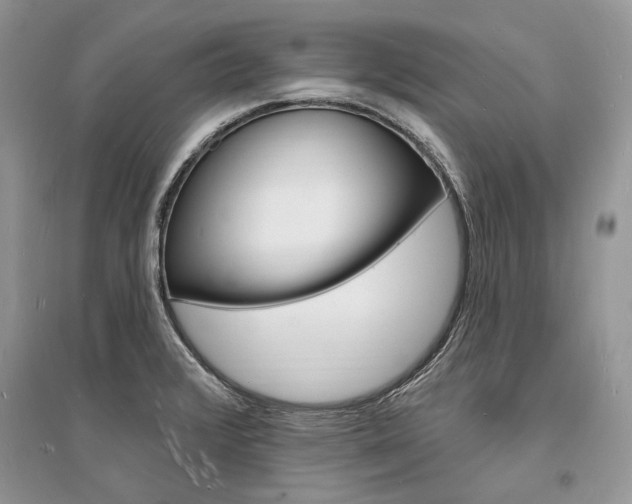 X0000096391376200801241107