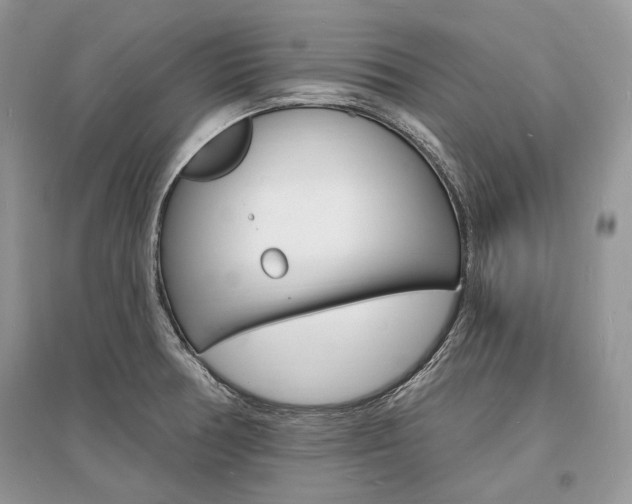 X0000096391378200801241107