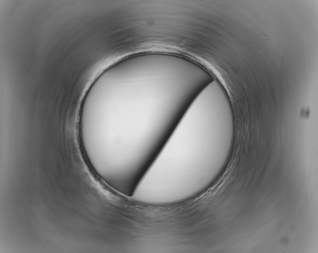 X0000096391379200801241106
