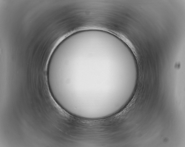 X0000096391380200801241106