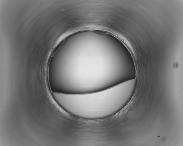 X0000096391381200801241106