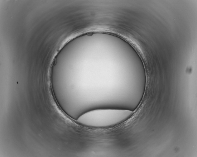 X0000096391382200801241106