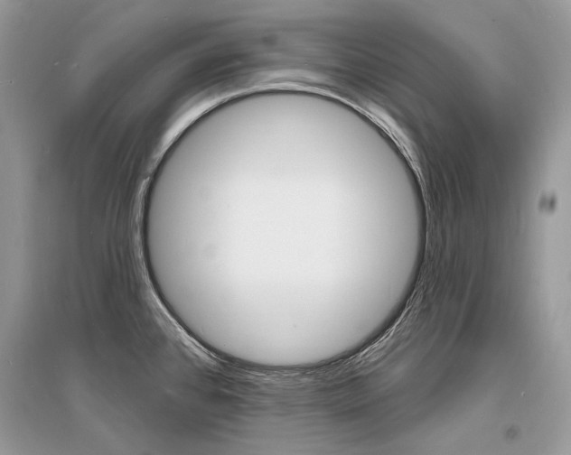 X0000096391384200801241106