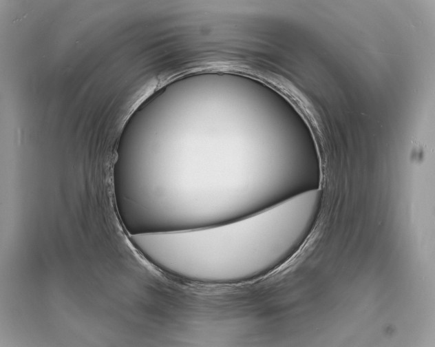 X0000096391385200801241106