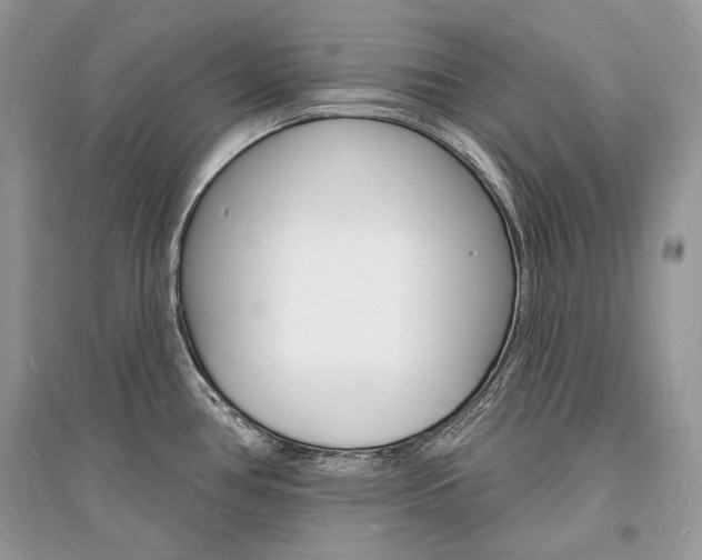 X0000096391386200801241106