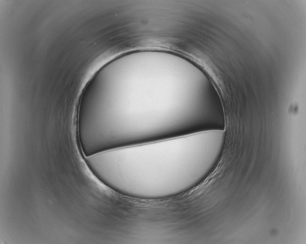 X0000096391387200801241106