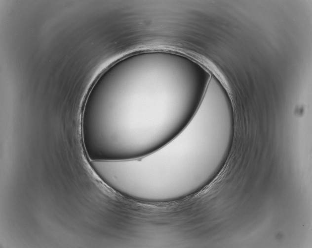 X0000096391388200801241106