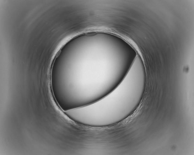 X0000096391389200801241106
