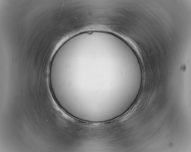 X0000096391390200801241106
