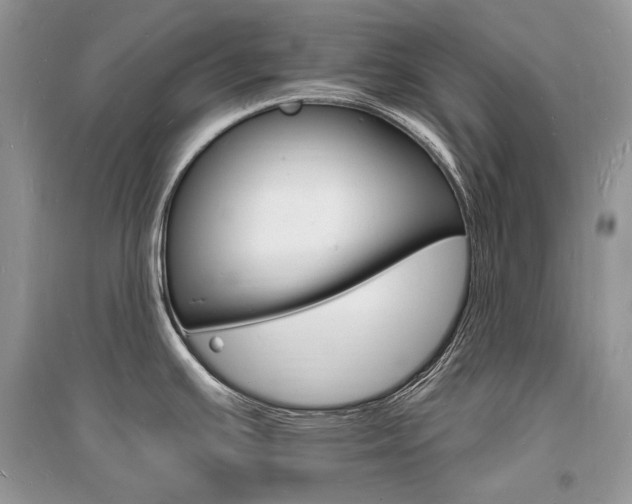 X0000096391391200801241106