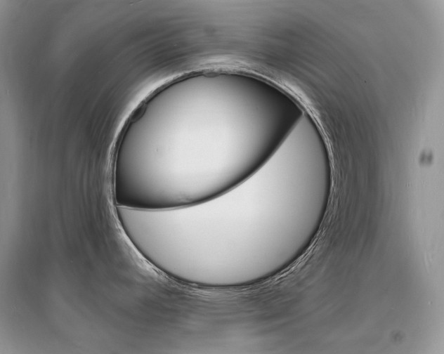 X0000096391392200801241106