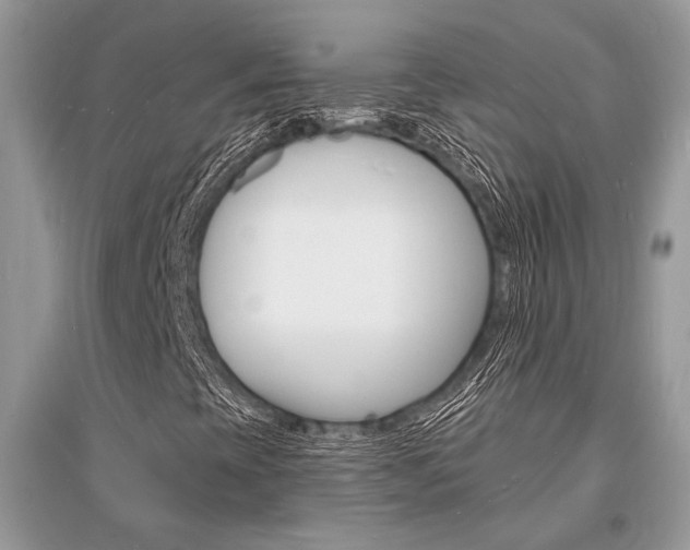 X0000096391393200801241106