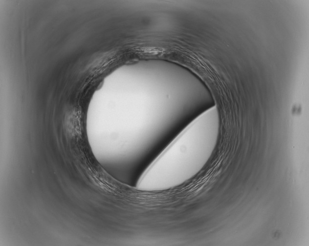 X0000096391394200801241106