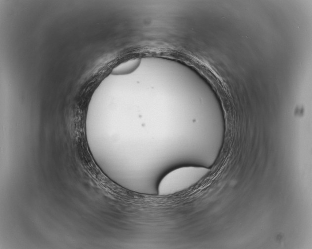 X0000096391399200801241106