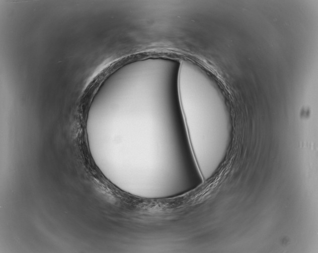 X0000096391400200801241106