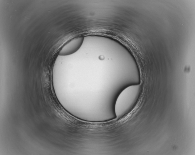 X0000096391401200801241106