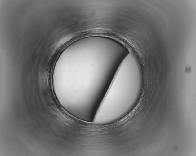 X0000096391402200801241106