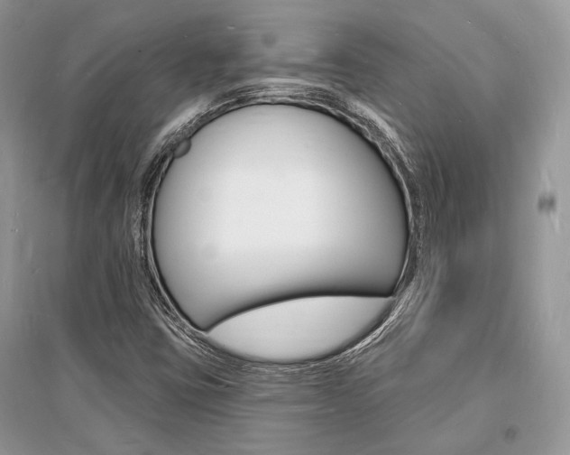 X0000096391403200801241106